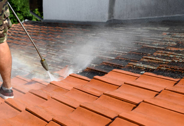 Best Roof Pressure Washing  in Nibley, UT